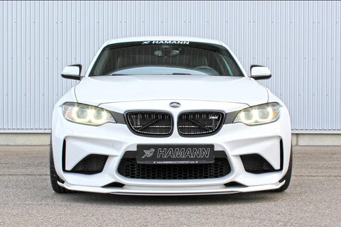 Hamann F87 M2