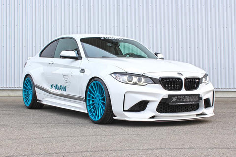 Hamann F87 M2