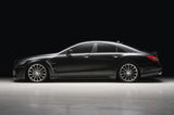 WALD W218 CLS Class Black Bison